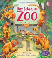 das Cover von Aufklappen und Entdecken: Das Leben im Zoo