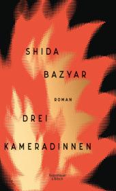 das Cover von Drei Kameradinnen