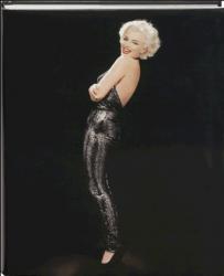 das Cover von Gentlemen Prefer Blondes