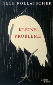 das Cover von Kleine Probleme