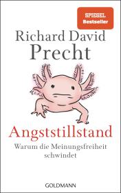 das Cover von Angststillstand