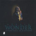 das Cover von Stevie Wonder