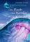 das Cover von Drachenreiter 3. Der Fluch der Aurelia