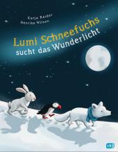 das Cover von Lumi Schneefuchs sucht das Wunderlicht