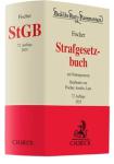 die Abbildung von Strafgesetzbuch (StGB)