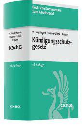die große Abbildung von Kündigungsschutzgesetz