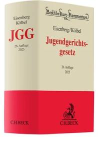 die große Abbildung von Jugendgerichtsgesetz