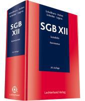 die große Abbildung von SGB XII