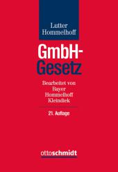 die große Abbildung von GmbH-Gesetz