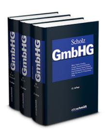 die große Abbildung von GmbH-Gesetz
