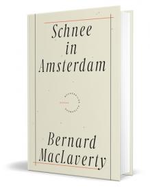 das Cover von Schnee in Amsterdam