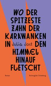 das Cover von Wo der spitzeste Zahn der Karawanken in den Himmel hinauf fletscht
