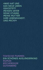 das Cover von Ein schönes Ausländerkind