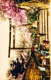 das Cover von Der Geist Japans