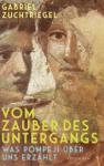 das Cover von Gabriel Zuchtriegel: Vom Zauber des Untergangs