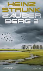 das Cover von Zauberberg 2