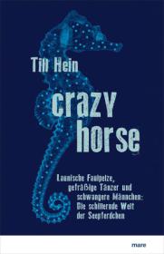 die große Abbildung von Crazy Horse